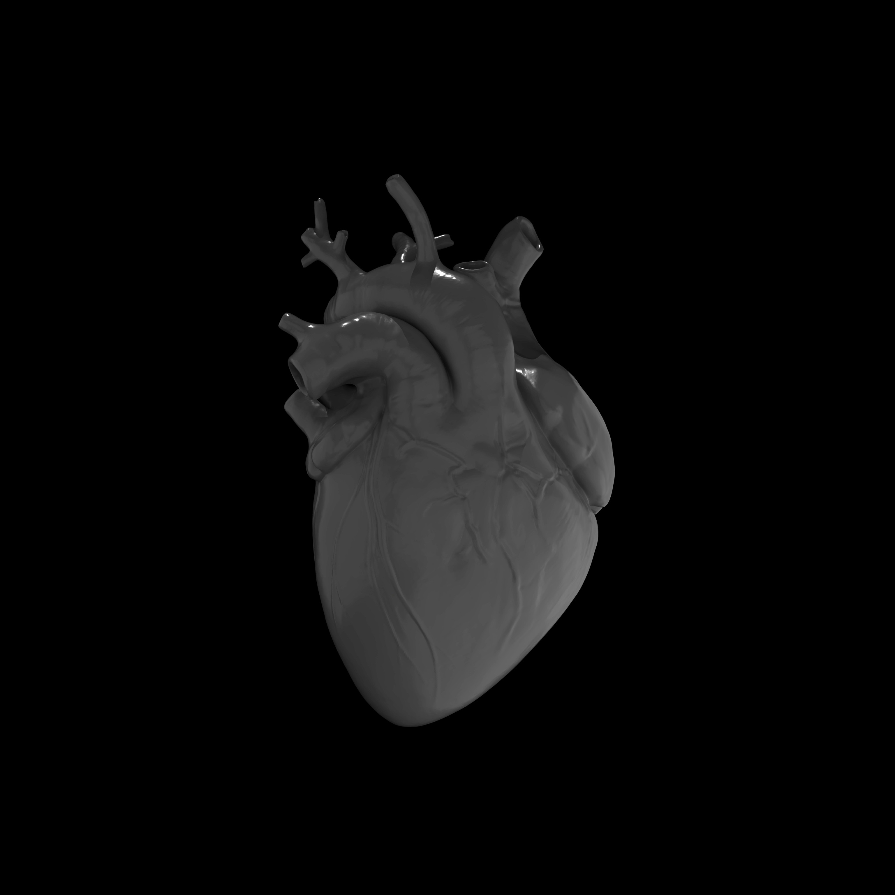 Heart Study